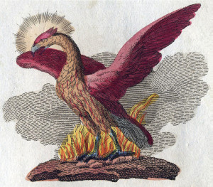 Phenix